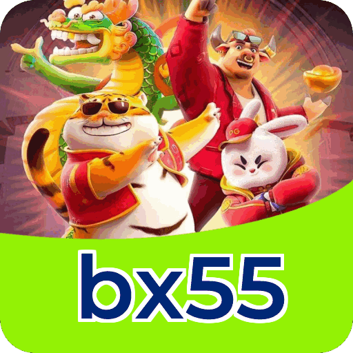 Vantagens exclusivas bx55 para jogadores brasileiros - São Paulo, Rio, BH